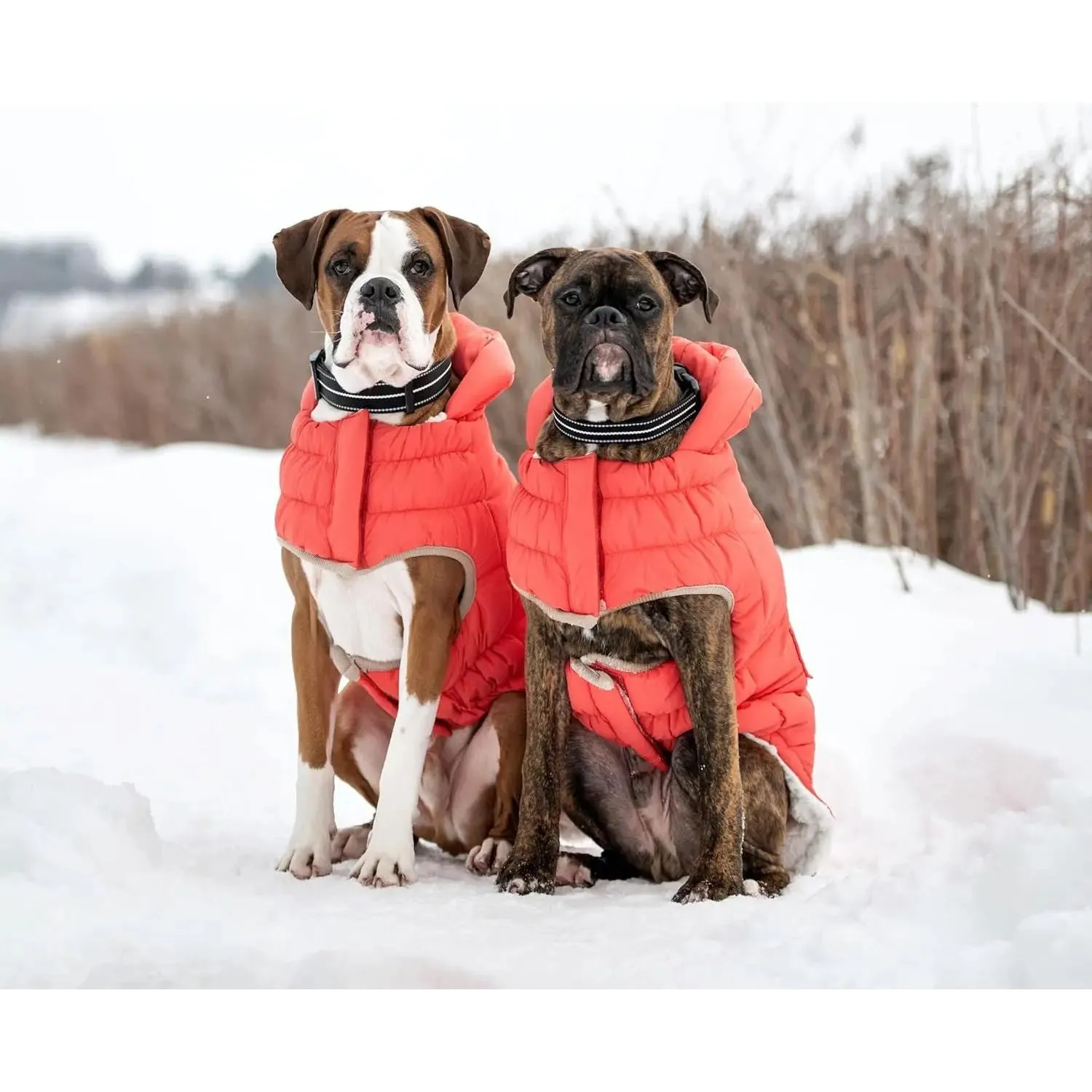 GF Pet Elasto-Fit Nordic InFiber Dog Parka