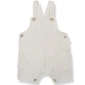 Roman Overall